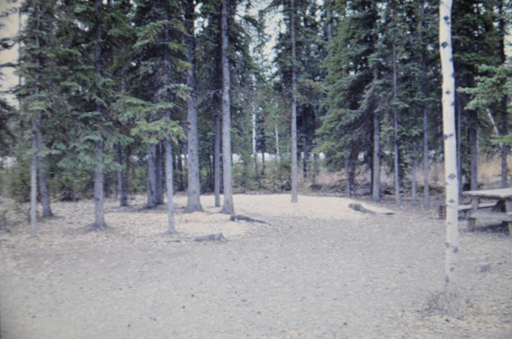Tok Rv Village And Cabins Δωμάτιο φωτογραφία